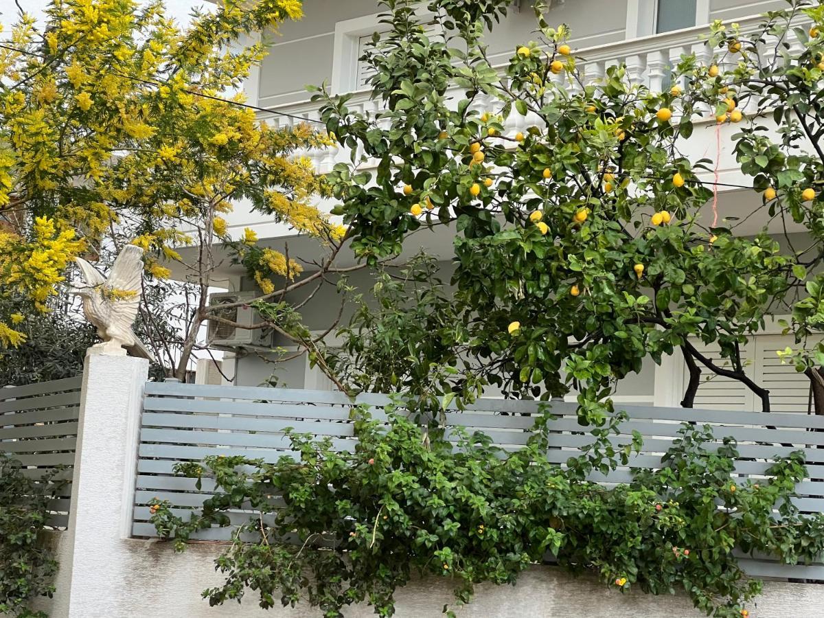 Apartments & Studios Ardian-Mandi Sarande-Albania エクステリア 写真