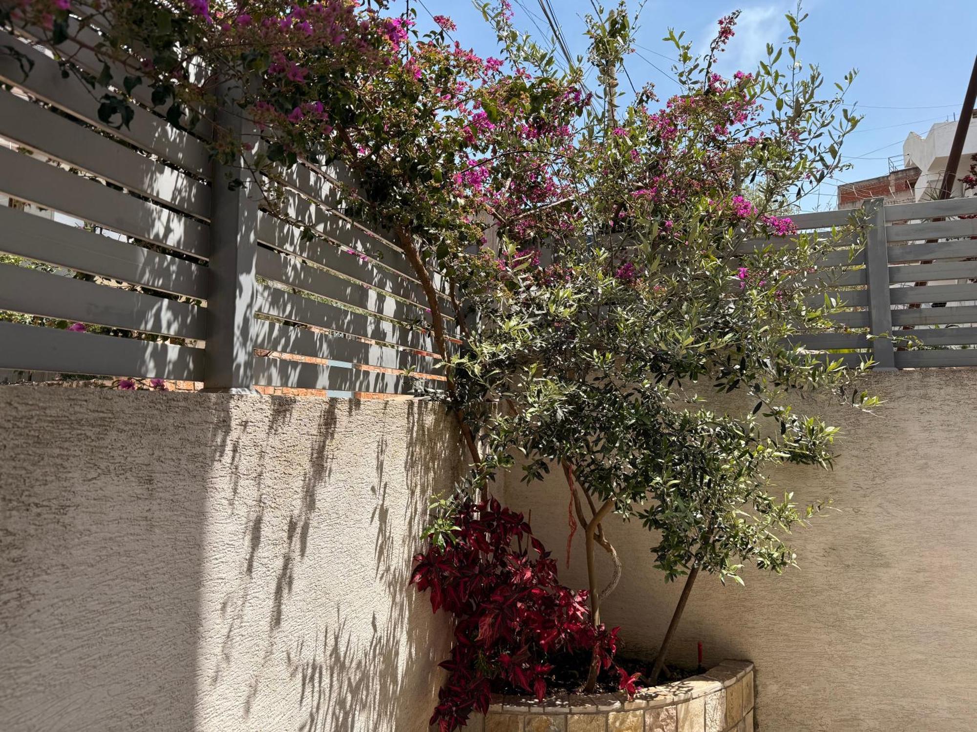 Apartments & Studios Ardian-Mandi Sarande-Albania エクステリア 写真