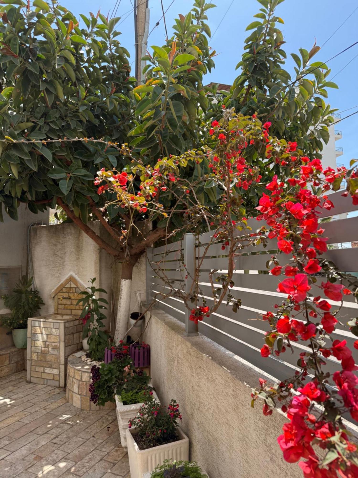 Apartments & Studios Ardian-Mandi Sarande-Albania エクステリア 写真